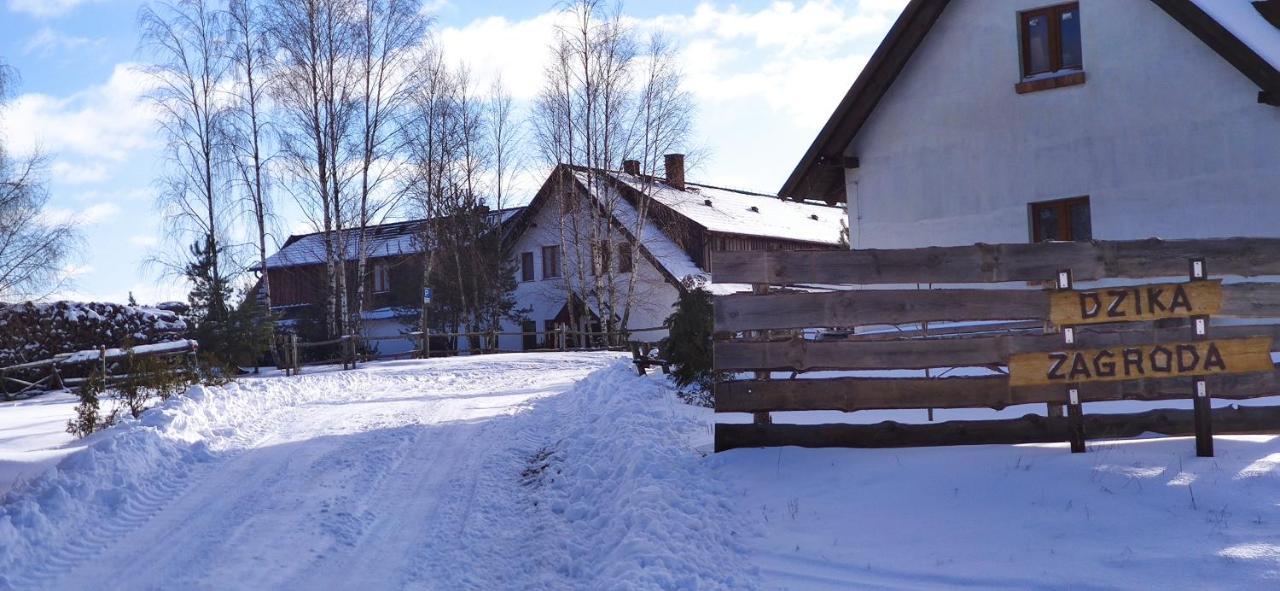Gospodarstwo agroturystyczne Dzika Zagroda Dziemiany