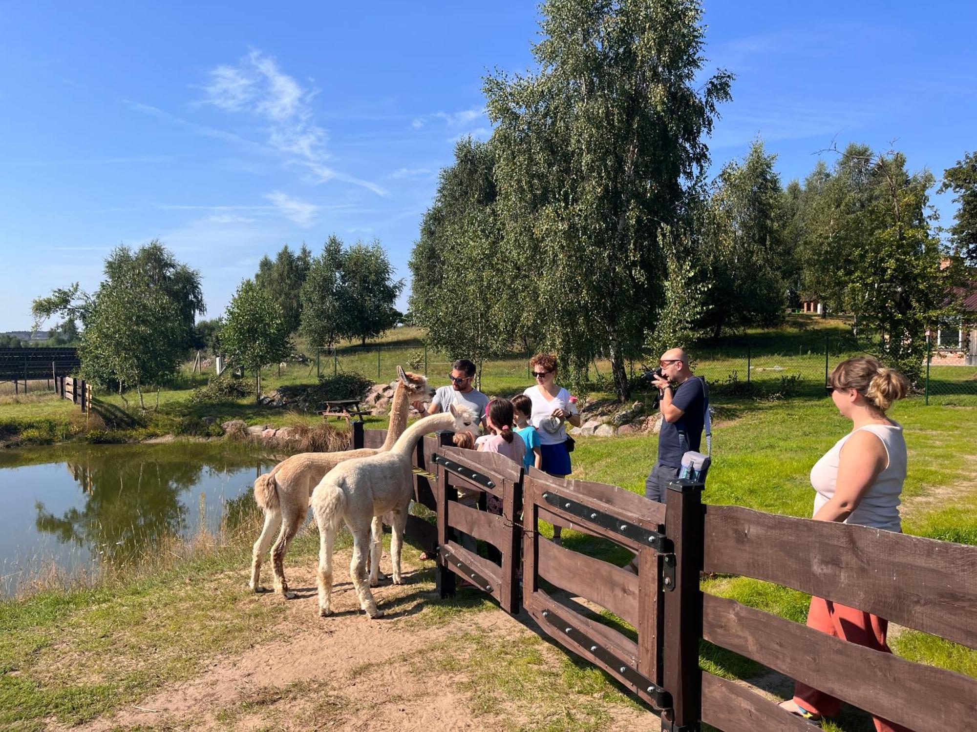 Dzika Zagroda Farm stay Dziemiany
