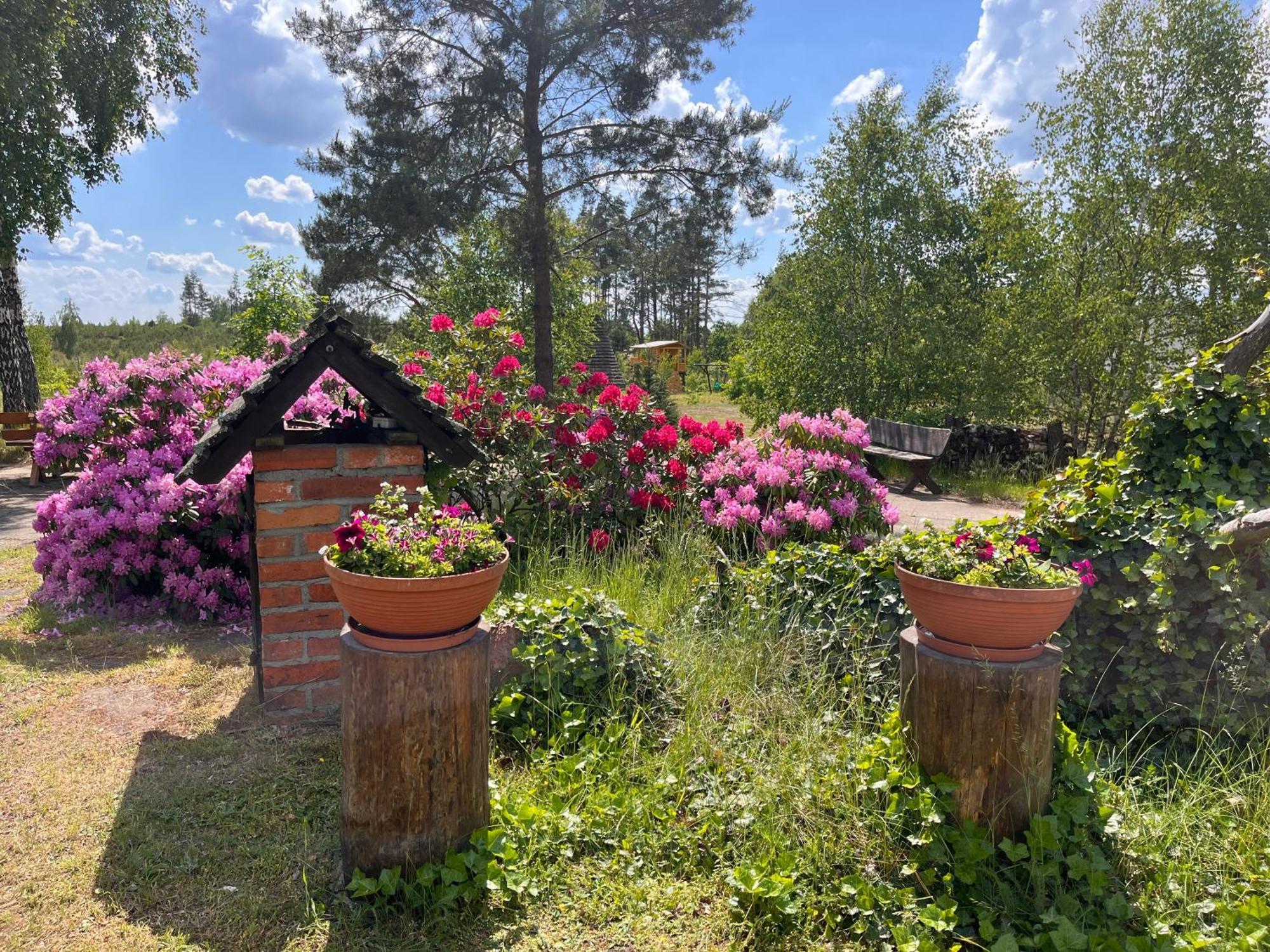 Dzika Zagroda Farm stay *